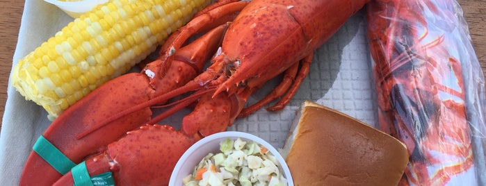 The Maine Lobster Festival is one of FOOD AND BEVERAGE FESTIVALS.