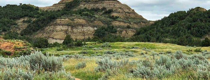 Coal Vein Trail, Theodore Roosevelt National Park is one of Midwest Travels.