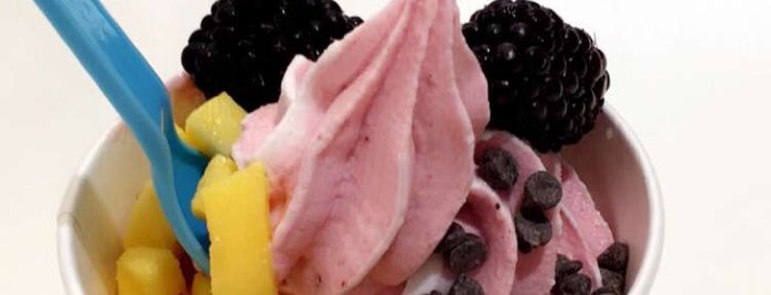 Crave Frozen Yougurt is one of Really Good Food!!.