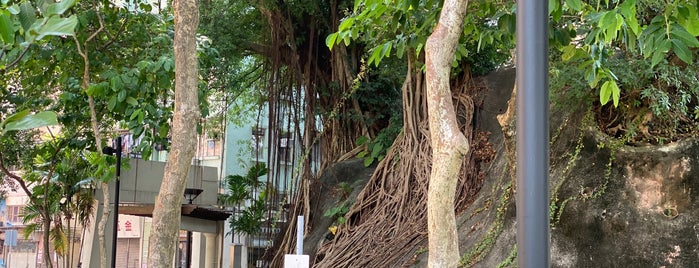 Hung Shing Street Rest Garden is one of hk.