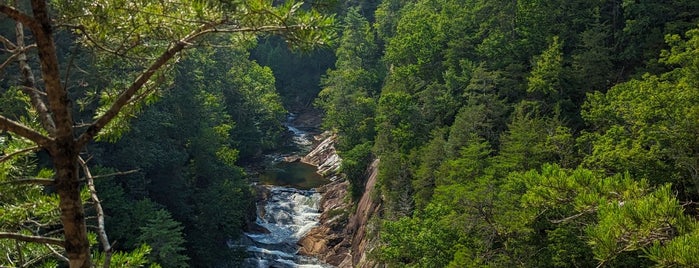 Tallulah Gorge State Park is one of Mario'nun Beğendiği Mekanlar.