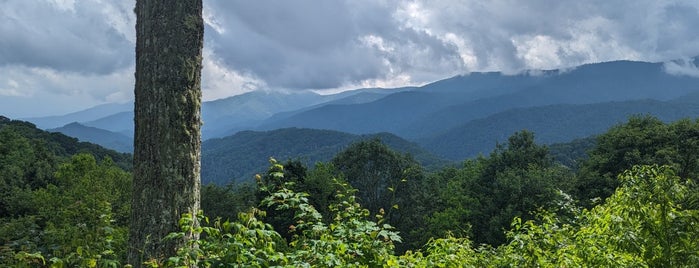 Webb Overlook is one of Great Smoky Mountains.