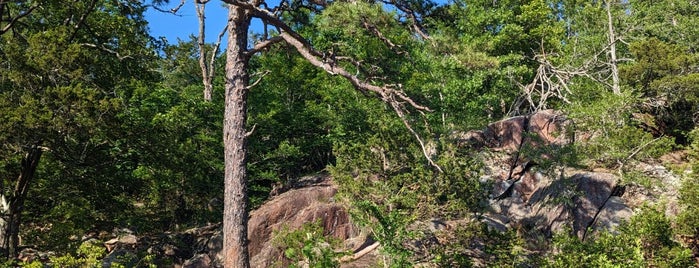 Amidon Memorial Conservation Area is one of MO.