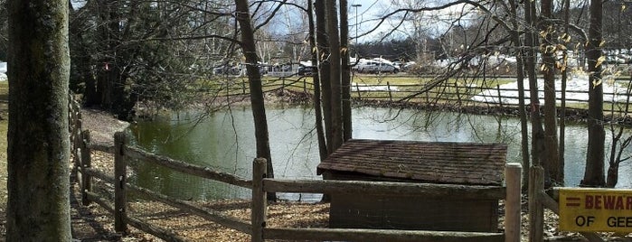 Greenfield Community College Duck Pond is one of Greenfield and Turners Falls Area.
