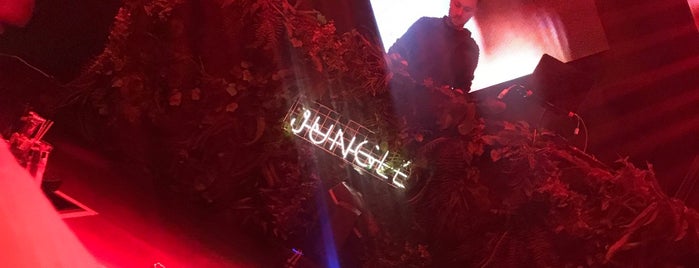 Jungle 8 is one of Ng!.