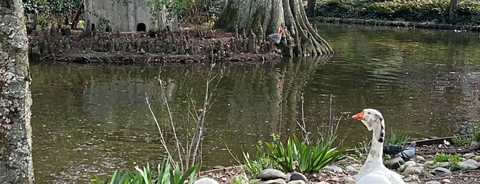 Jardin des Plantes is one of Toulouse.