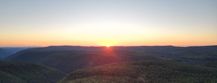 Pendleton Point Overlook is one of Canaan Valley.