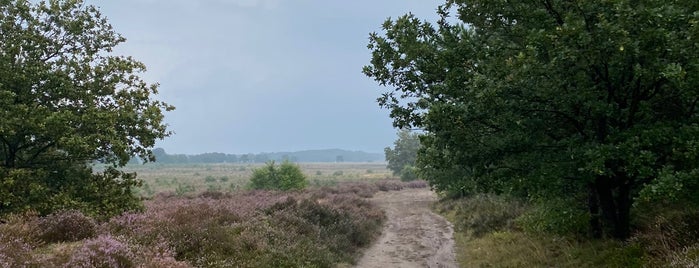Ginkelse Heide is one of mTB-Routes.