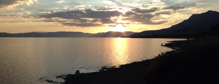 Laguna de Chapala is one of Hilda’s Liked Places.