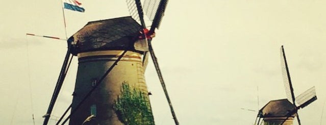 Windmills at Kinderdijk is one of Rotterdam.