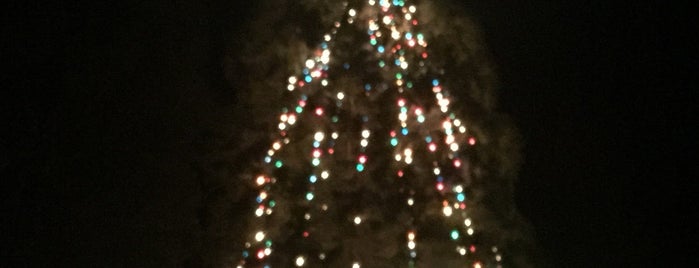 Dorrington Christmas Tree Lighting is one of Things TO DO in or near Arnold.