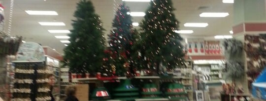 Christmas Tree Shops is one of Swag.