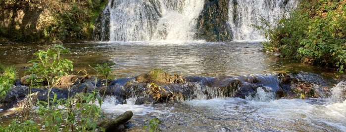 Червоногородський (Джуринський) водоспад is one of :).