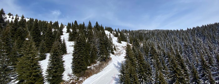 Nacionalni park Kopaonik is one of Posti che sono piaciuti a Marko.