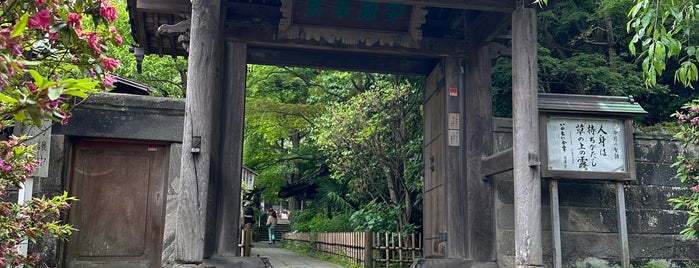 安国論寺 is one of 神奈川東部の神社(除横浜川崎).