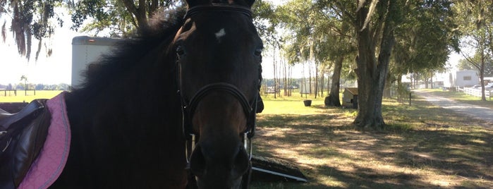 Florida Horse Park is one of Nord-Florida Panhandle / USA.