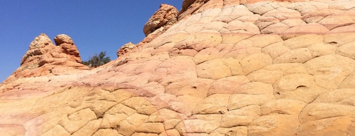 South Coyote Buttes is one of Locais salvos de Amanda.