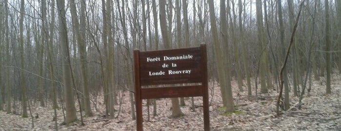 Forêt Domaniale de la Londe-Rouvray is one of Favorite Great Outdoors.