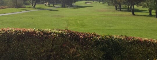 San Dimas Canyon Golf Course is one of Posti che sono piaciuti a Larry.