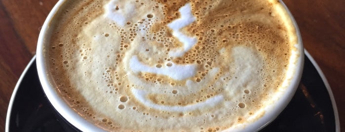 Green Light Coffee is one of The 15 Best Places for Espresso in Corpus Christi.