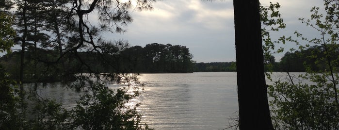 Lake Whitehurst is one of Lugares favoritos de 🖤💀🖤 LiivingD3adGirl.