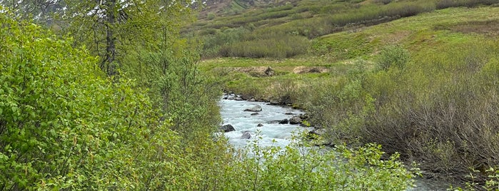 Gold Mint Trailhead is one of Texas.