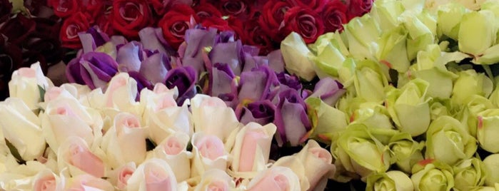 Spring Rose is one of Riyadh Chocolate and Gifts.
