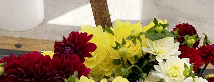 Santa Barbara Farmers Market is one of The 15 Best Places for Flowers in Santa Barbara.