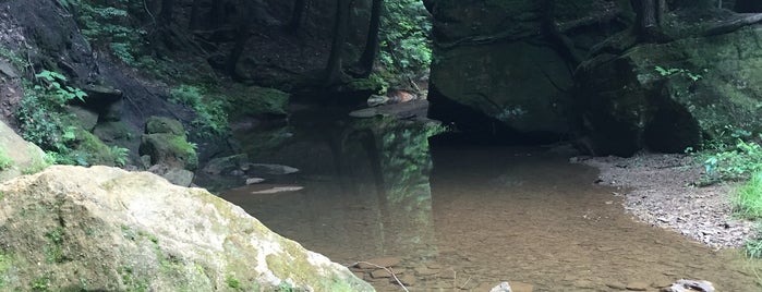 Hocking Hills State Park Lodge is one of Lugares guardados de Michael.