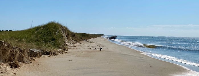 Shackleford Banks is one of NC Exploring.