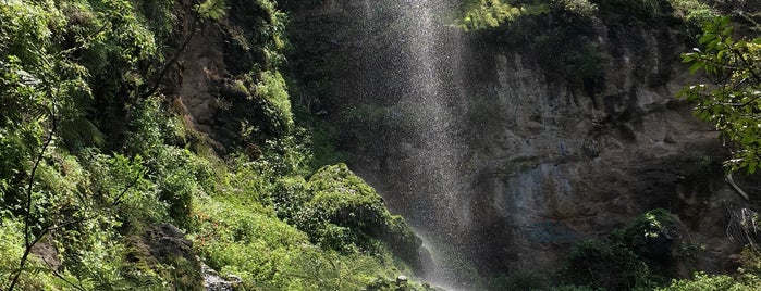 Cascada tepoztlan is one of Tempat yang Disukai Crucio en.