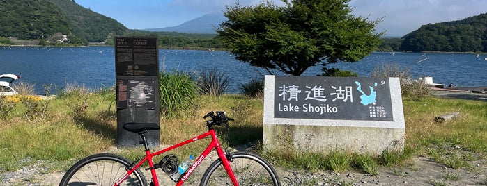 Lake Shoji-ko is one of Aloha !'ın Beğendiği Mekanlar.