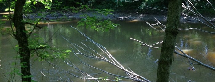 Johnson Nature Preserve is one of Acres Land Trust Preserves.