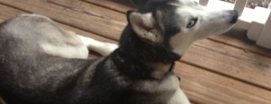 City of Lords Valley is one of Julie's things to do.