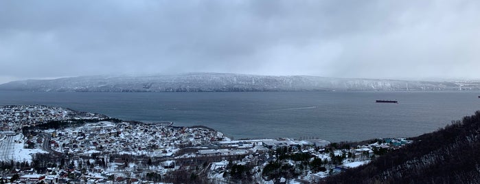 Major Hyldmos plass is one of Narvik.