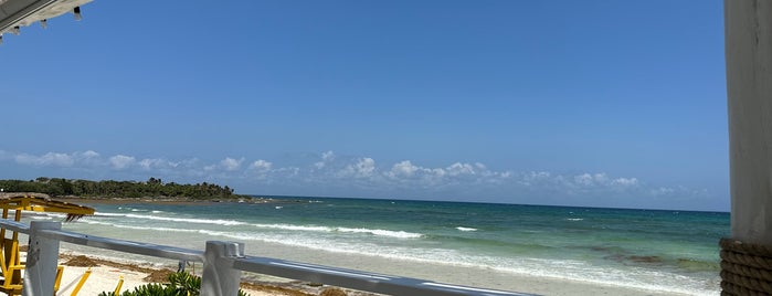 Playa Esencia is one of Akumal.