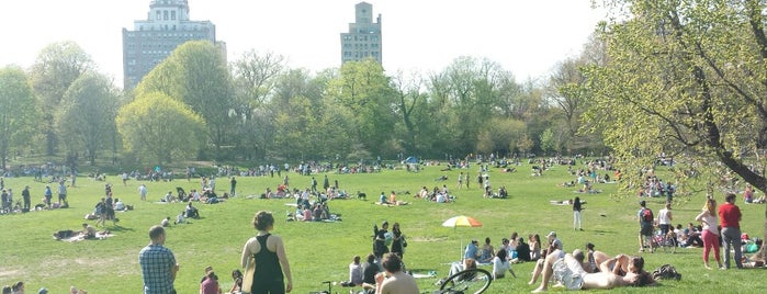 Prospect Park is one of New york.
