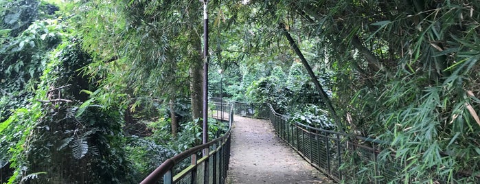 Hutan Kota Babakan Siliwangi (Baksil) is one of Bandung Thematic Gardens.