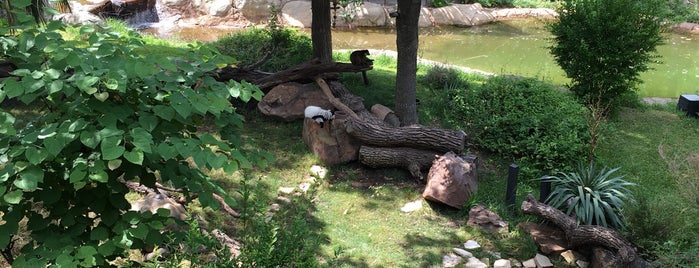 Lemur Lookout is one of Sriniさんのお気に入りスポット.