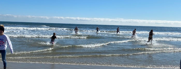 Polar Bear Plunge is one of South Jersey.
