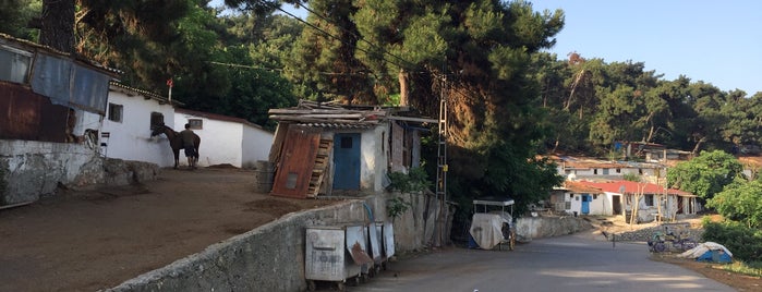 Kalpazankaya Yolu is one of Tempat yang Disukai Lale.