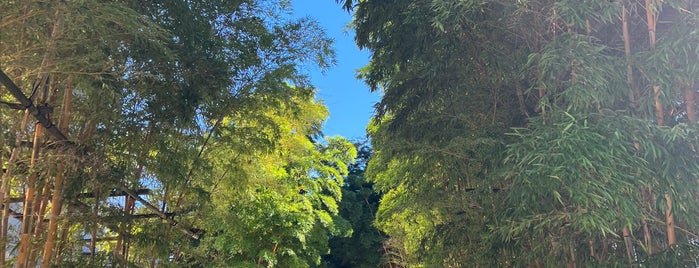 Baisouin is one of 東京23区(東部除く)の行ってみたい神社.