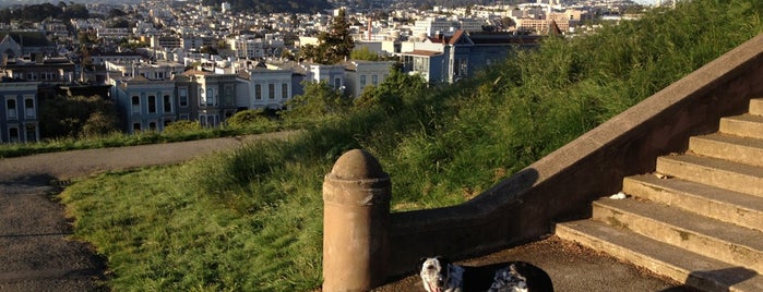 Alta Plaza Park is one of Favorite Things.