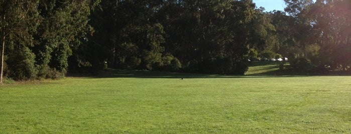 Strawberry Hill is one of Golden Gate Park Spots.