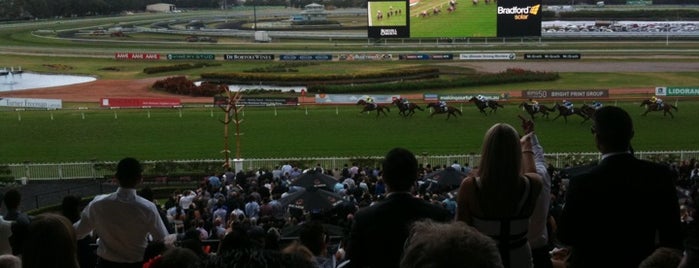 Rosehill Racecourse is one of Things To Do Parramatta.