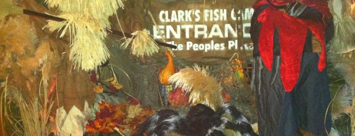 Clark's Fish Camp is one of Favorite Eateries in NE Florida.