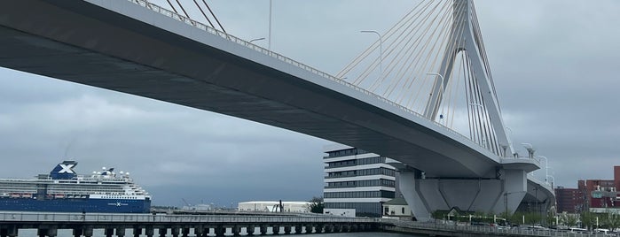 Aomori Bay Bridge is one of 観光名所.