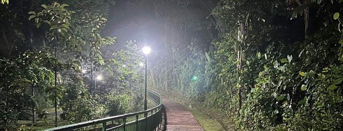 Telok Blangah Hill Park is one of Micheenli Guide: Places to bird-watch in Singapore.