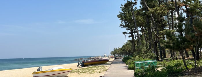 Gyeongpo Beach is one of nomnom de 강릉.