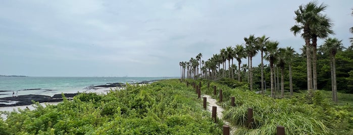 Keumneung Beach is one of Yongsukさんの保存済みスポット.
